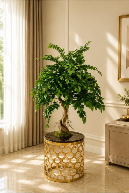 Artificial Ficus Plant 1.2m High