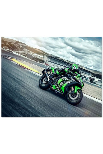 Kawasaki Ninja Zx 10 R Krt Edition 1000 Piece Puzzle Jigsaw Puzzle Mdf (wood)
