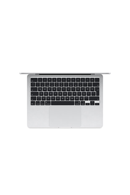 Apple 13