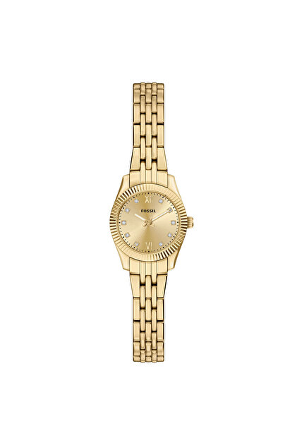 Michael Kors MK4741 Kadın Kol Saati - Fiyatı, Yorumları