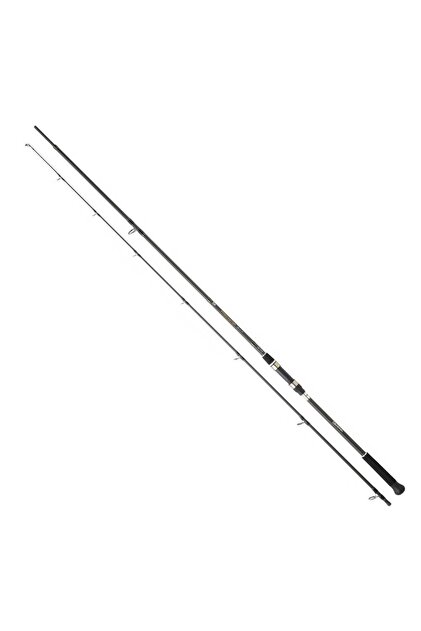 Ryuji Seawolf 1.83m 200-400gr 2P (Baitcast) Tetiksiz Jig Olta