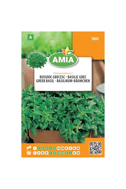 Seminte de busuioc grecesc Amia, 0,8 g