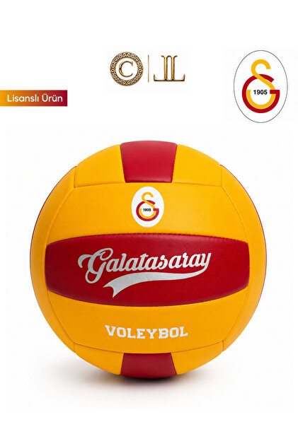 2026 YENİ SEZON LİSANSLI DERİ VOLEYBOL TOPU NO:5