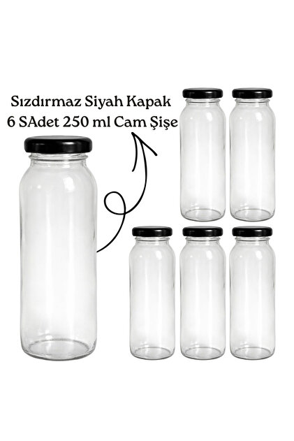 Glass Bottle 250 ml Set of 6 – with Lid for Juice, Smoothie, Lemonade, Detox, Mini Jar