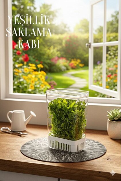 Reoona 1 Adet 2900 ml Yeşillik Saklama Kabı| Sebze Saklama