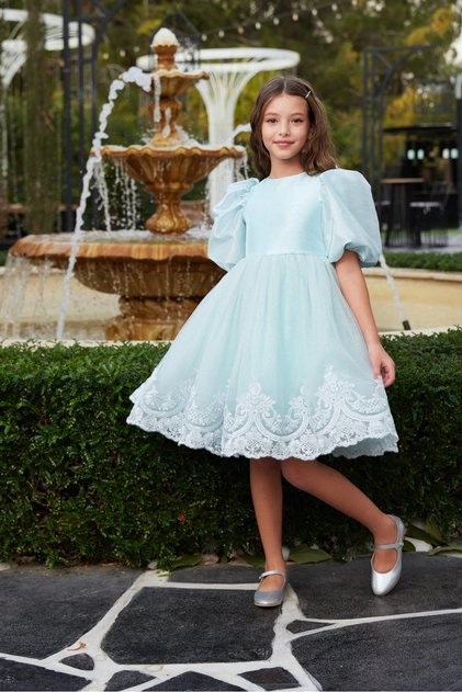 Girl's Balloon Sleeve, Tulle, Lace Detailed Dress for Special Occasion, Birthday
