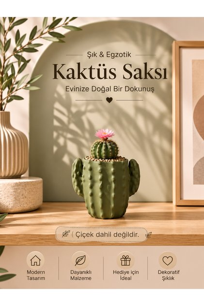 Dekoratif Kaktüs Saksısı | 3D Baskı PLA Masaüstü Saksı