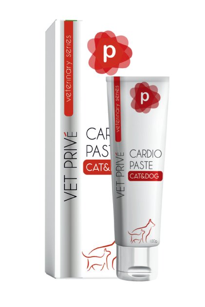 Cardio Paste Kedi Ve Köpekler Için Kalp Desteği Pasta 100g