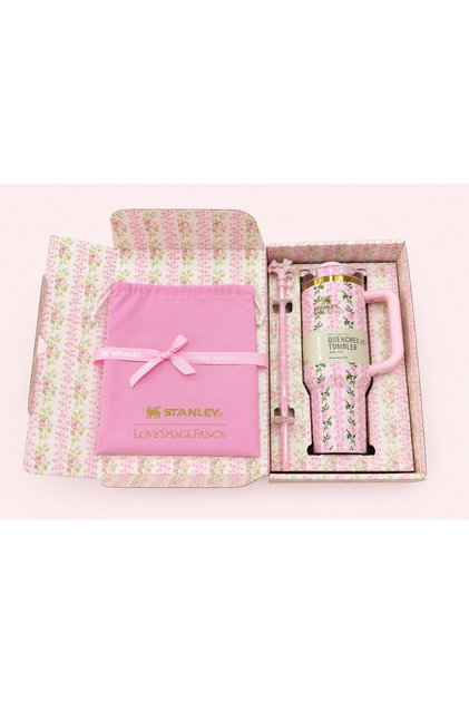 Glass Set with Straws |   Pipette with Tip Protector, Carrying Case, Special Box - Pink - 1.18 L