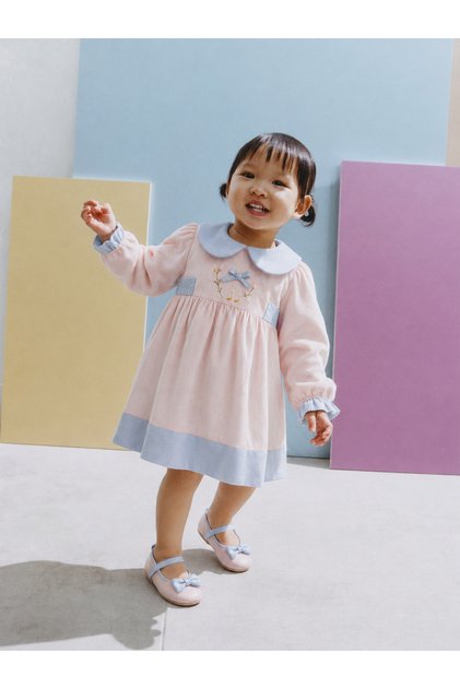 Baby Girl Dress Block Pastel Colored Floral Embroidered Long Sleeve Holiday Gift Special Occasions