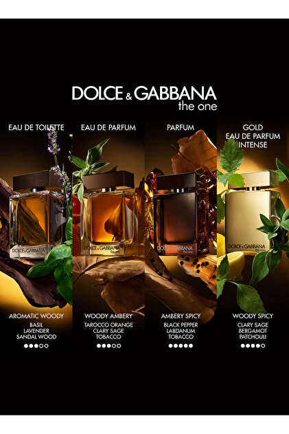 Dolce&Gabbana Dolce & Gabbana The One For Men Eau de Parfum 100 ml