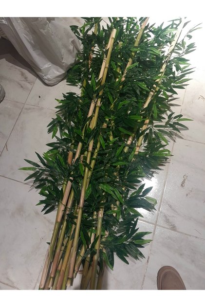 Yapay Bambu Bamboo Ağaç Cubukları 1.70 Mt Boy 10 Adet