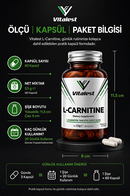 l-carnitine 1000mg capsules Acetyl L-Carnitine 1000mg-Non-GMO & Energy Fatigue Focus Supplement BRAIN  BOOSTS