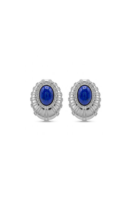 Steel Cleo Earrings