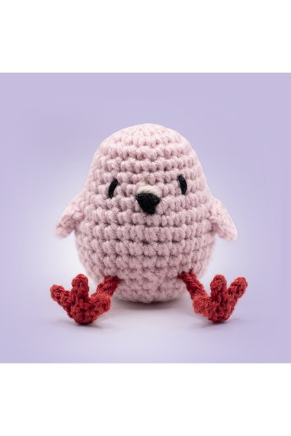 Mini Flamingo Yupi Crochet Kit for Beginners Amigurumi Knitting Toy Kit with Video