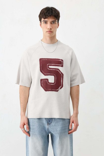Oversize printed t-shirt ice gray