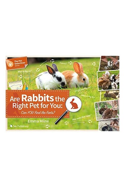 Sunt iepurii cel mai potrivit animal de companie pentru tine?