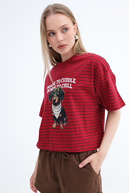 Addax Köpek Baskılı Çizgili T-shirt P10676 - Fiyatı, Yorumları