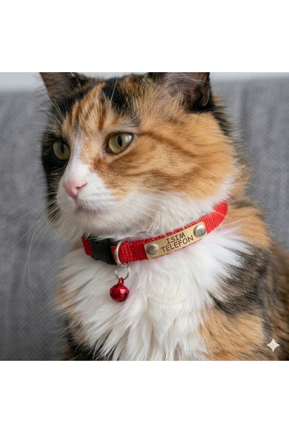 Kedi Tasması, Isimlikli Kedi Tasması, Kedi Künye Tasma, Kaybolursam Ara Tasma