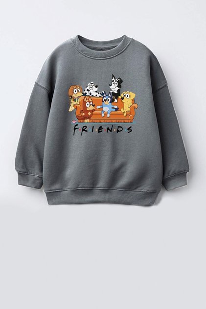 Unisex Kids Friends Printed 3 Thread Fabric Cotton Sweatshirt