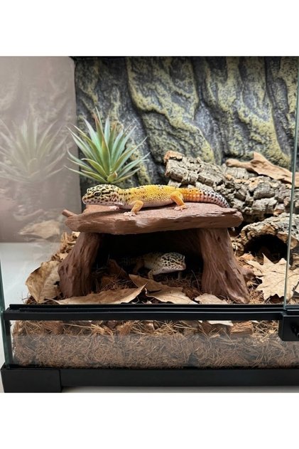 Sürüklenen Gecko Teraryum Kütük Mağarası – Saklanma ve Dinlenme Alanı | Sürüngen Dekoru