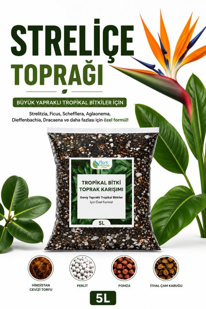 Straliçe (Cennet Kuşu Toprağı 5 L – Ficus, Schefflera, Aglaonema, Dieffenbachia, Dracaena ve Büyük Yapraklı Tropikal Bitkiler İçin Premium Hazır Toprak Karışımı