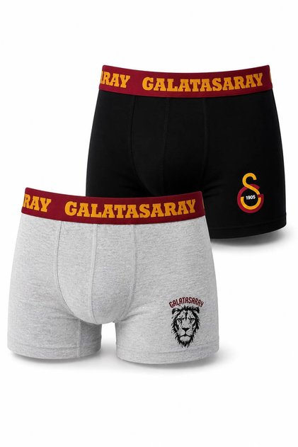 Licensed Fan Men's Boxer Briefs 2-Pack Cotton Boxer Underwear Fan Boxer Briefs Gift Lion Briefs Gs 1905 Totem Briefs Gs23075