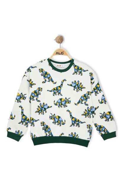 Boy's Colorful Dinosaur Printed Sweatshirt