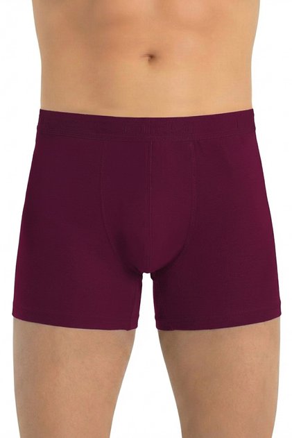 Men's Modal Boxer Modal Flexible and Comfortable (2641)