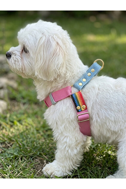 Köpek Göğüs Tasması Ayarlanabilir Orta Irk Kolon Kordon Pembe