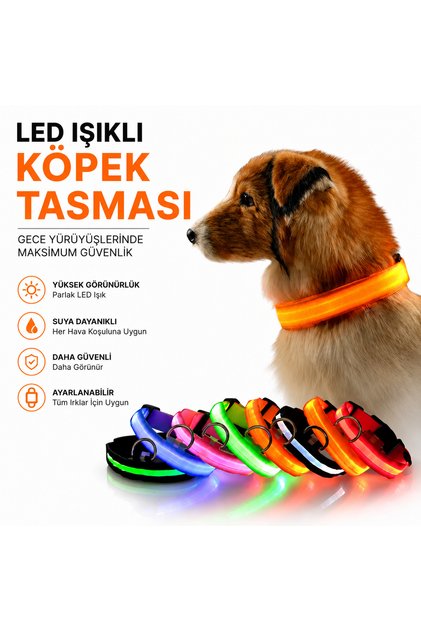 Işıklı Kedi Köpek Boyun Tasması Renkli Pilli Medium