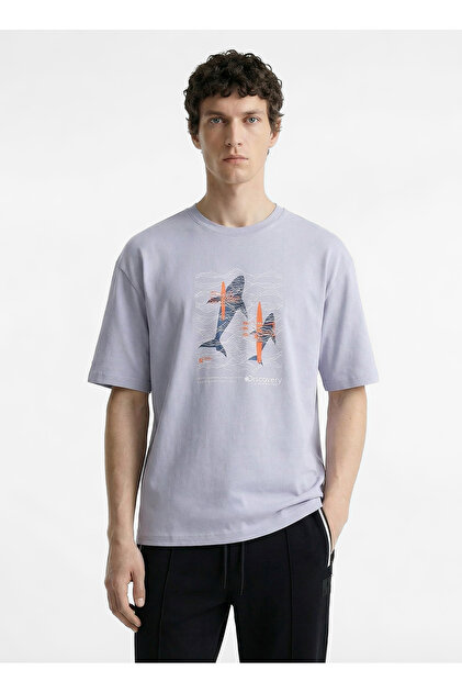 Discovery Expedition D6SM-TST3788 Gri Bisiklet Relaxed Baskılı