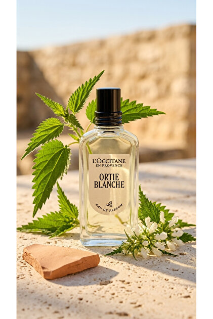 L'Occitane Ortie Blanche (Herbae) Parfüm, EDP, Kadın, Bergamot