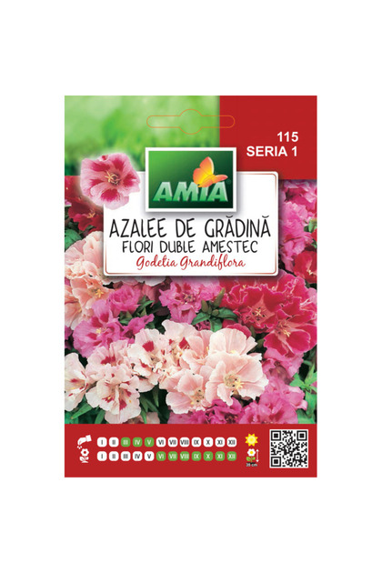 Seminte de flori azalee de gradina dubla amestec culori 0,5 g