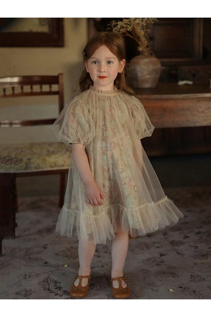 Girls Floral Print Mesh Puff Sleeve Dress