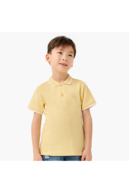 Boys Collared Short Sleeves T-shirt with Embroidery
