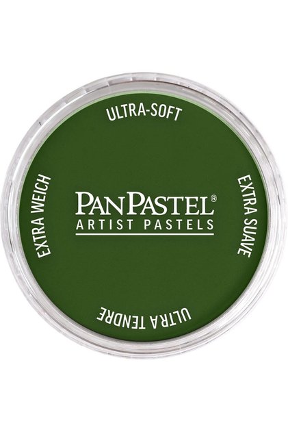 Artist Pastel Paint 660.5 Chromium Oxide Green