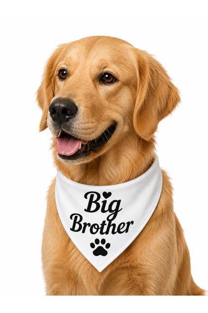 Big Brother & Big Sister Written Dog Scarf Bandana