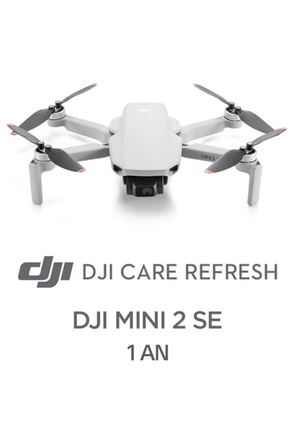 Licenta electronica Mini 2 SE (1Y)