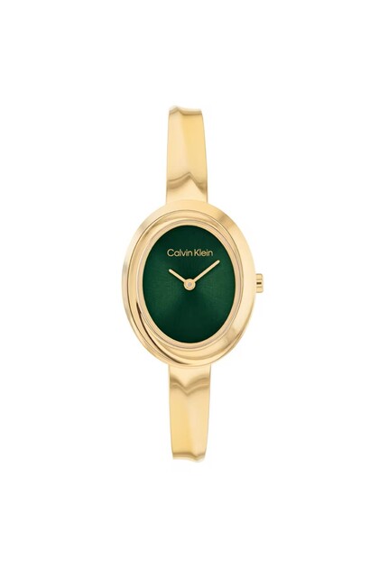 Ck25100203 Women's Wristwatch