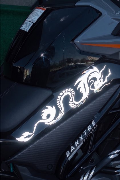 CFMOTO NK250 Uyumlu Reflektörlü Ejderha Tasarım Orta Grenaj Sticker Seti Sağ ve Sol