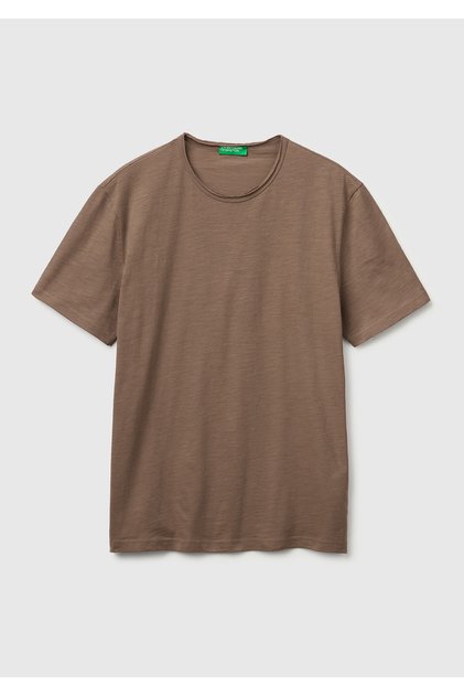 Men's Brown 100% Cotton Regular Fit Crew Neck T-Shirt