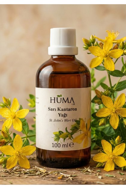 St. John's Wort Oil 100 ml