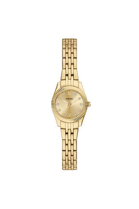 Timex TW2Y66900 Kadın Kol Saati - Fiyatı, Yorumları