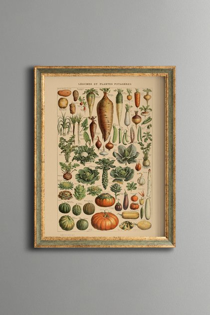 Botanical Vegetable Collection - Vintage Patterned Frame - Slim Model