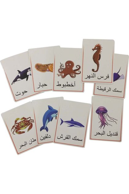 Educational Cards - Marine Life - Communicate and Interact
