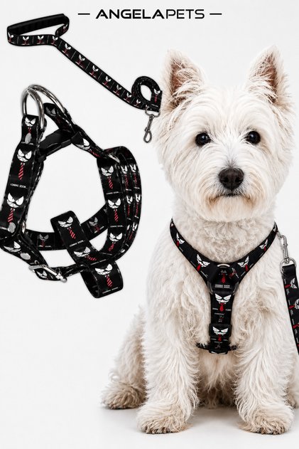 Dog Chest Harness and Walking Strap Set