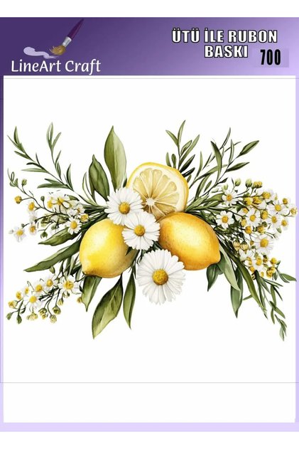 Ütü İle Yapışan Rubon transfer R700 30x30cm