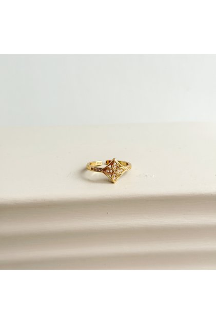 Eidot Steel Ring / Steel Ring