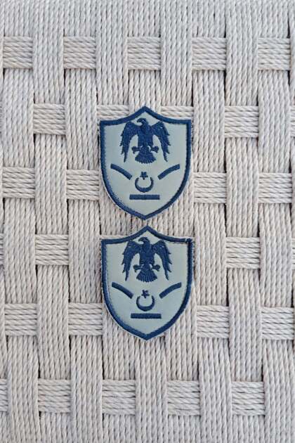 Hv. Figure. Yd. Asb. Gray Ground Eagle Embroidered Mini T-Shirt Crest